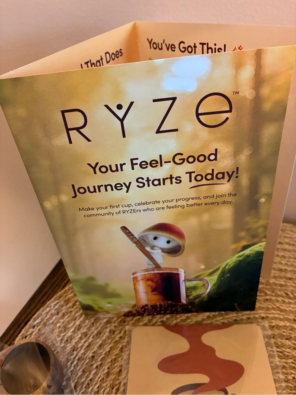 🍄‍🟫 Mushroom Chai Tea Blend – With Accessories